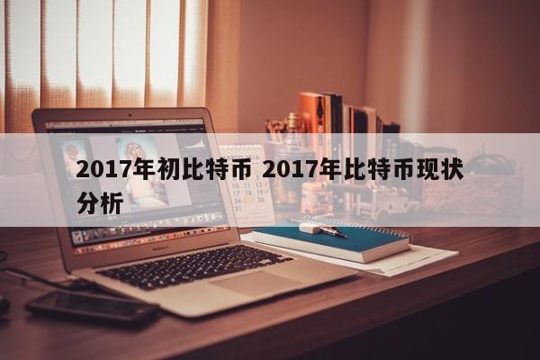 2017年初比特币 2017年比特币现状分析
