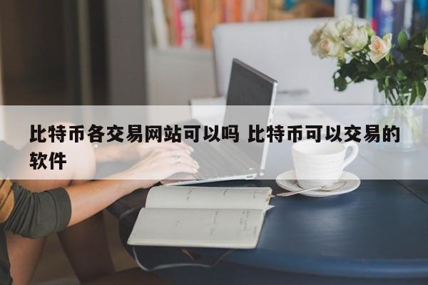 比特币各交易网站可以吗 比特币可以交易的软件