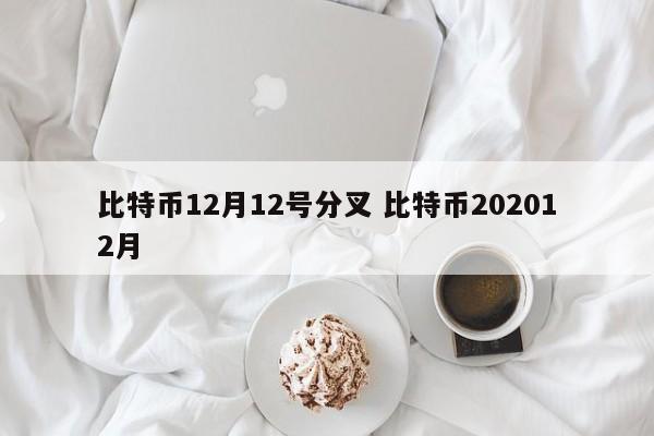 比特币12月12号分叉 比特币202012月